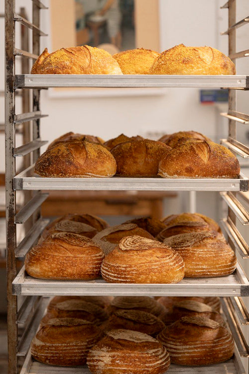 Olivieri 1882: awarded and confirmed with the 3 breads for the sixth consecutive year by Gambero Rosso.