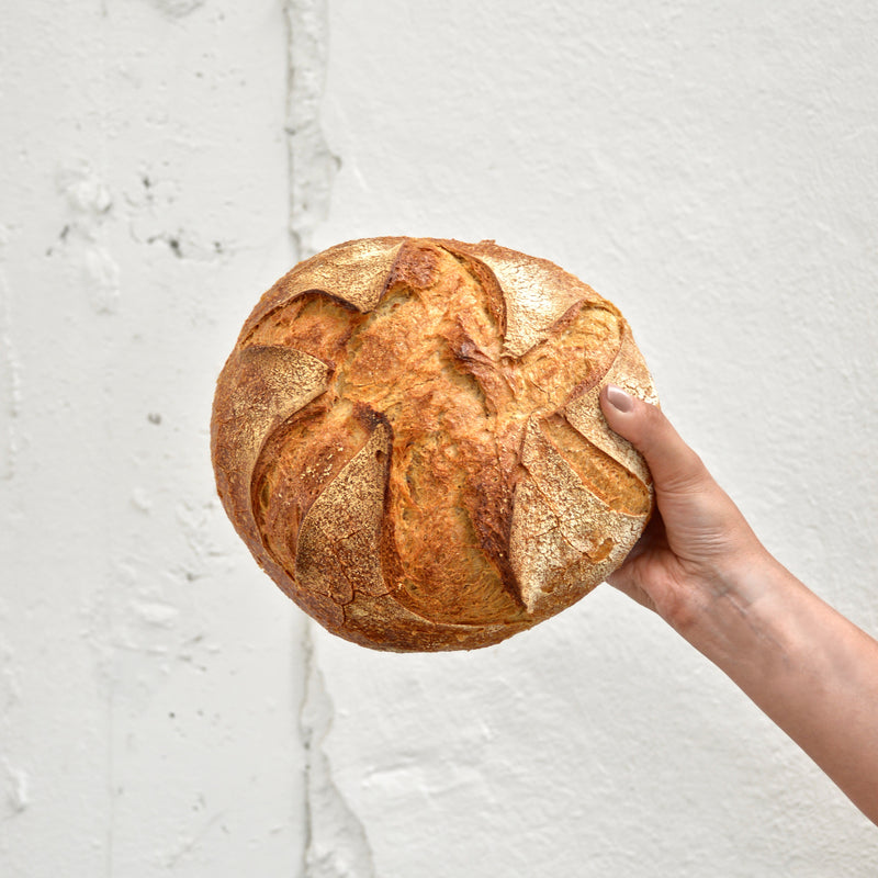 Olivieri 1882 è tra i migliori Panifici d’Italia anche per il 2022!