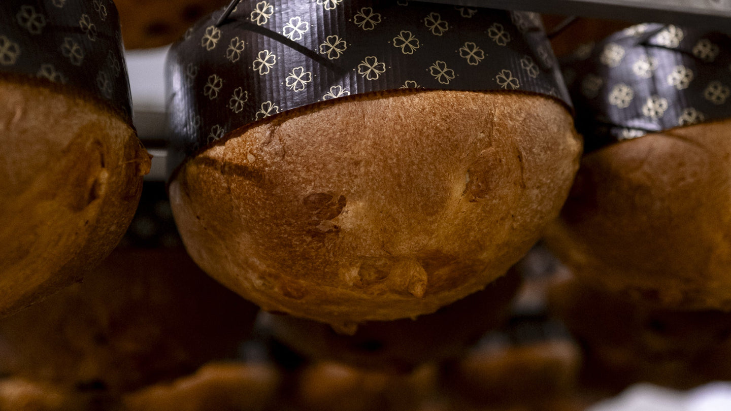 Panettone