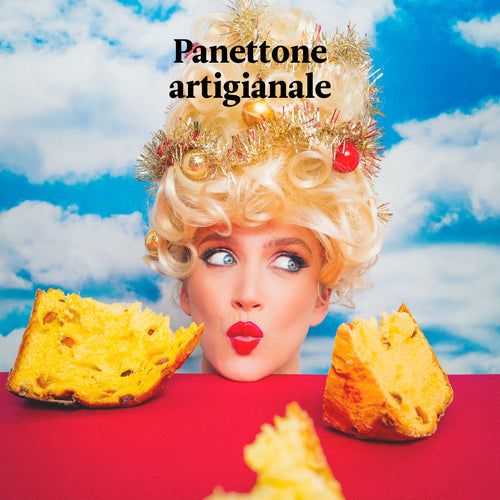 NOVITA' 2023! COLLECTION PANETTONI E PANDORI 2023 è disponibile!