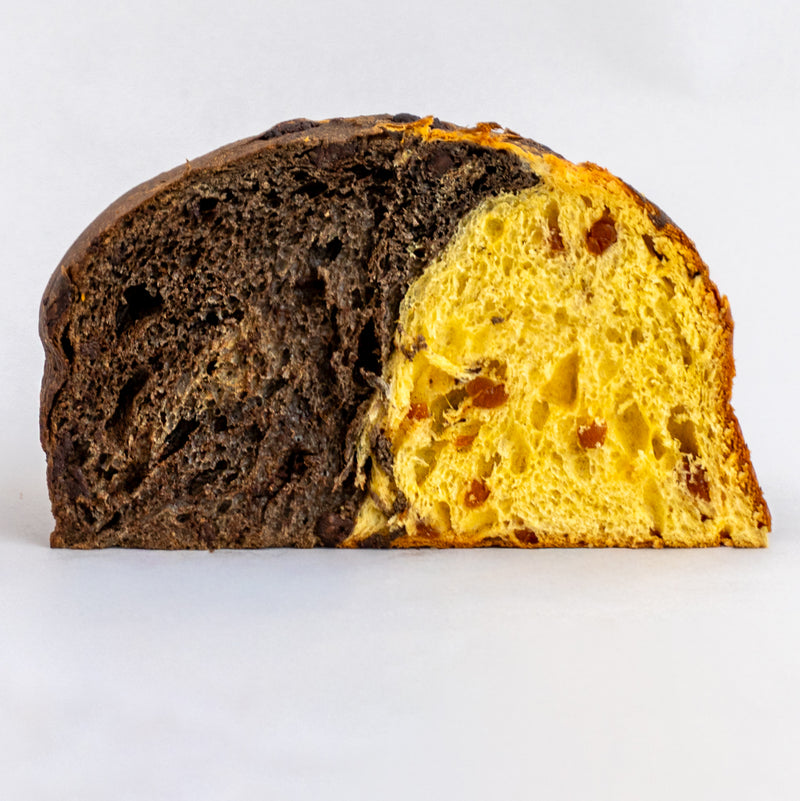 Panettone Bigusto Albicocca e Cioccolato Fondente