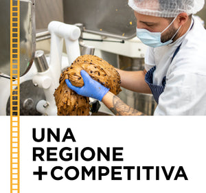 Bando regione veneto